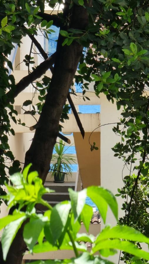 Apartment Savina Herceg Novi Dış mekan fotoğraf